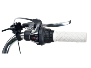 Manetka