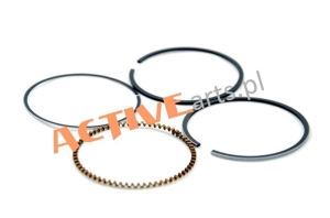 Części do kosiarek Pierścienie Tłoka Silnika/1P65